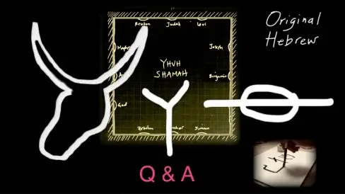 Q&A #3